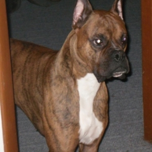 Brusco
