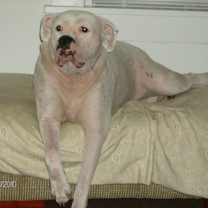 Layla Awake