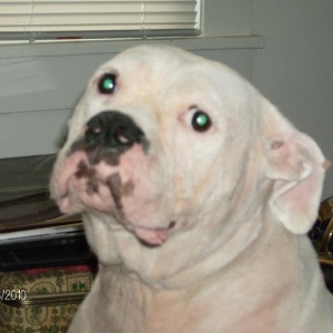 Layla looking at me
