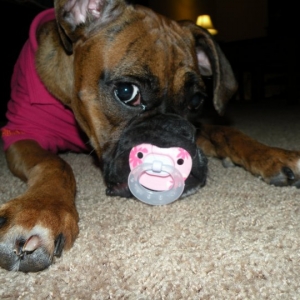 Baby Belle