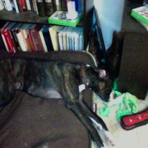 Tuckered Kevin