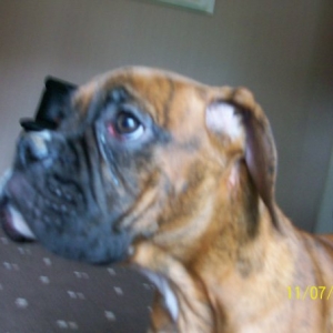 Buster_13