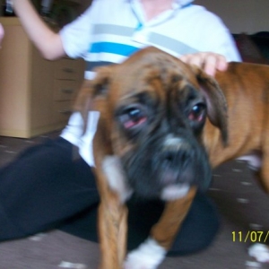 Buster_12