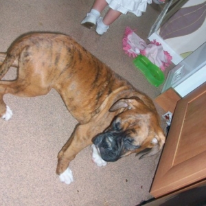 Buster_14