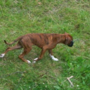 Buster_31