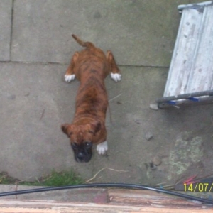 Buster9