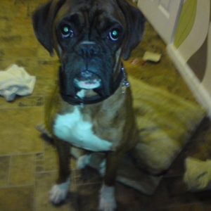 Buster_17