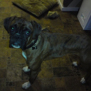 Buster_18