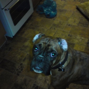 Buster_19