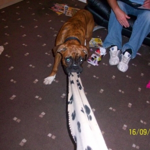 Buster_Playing