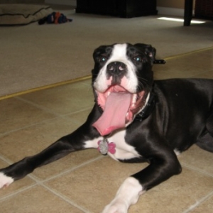 Roxy
