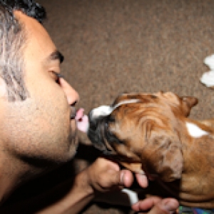 Lick-o-holic