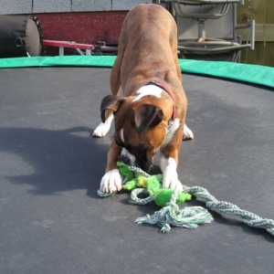 playing6