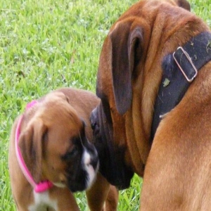 Jake and Allie