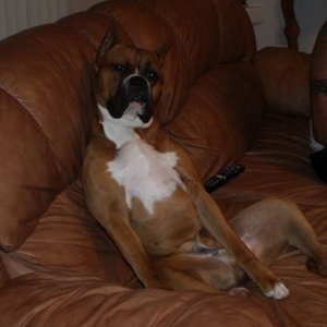 My Couch Potato Hurley