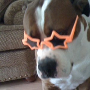 rockstar_Gizmo