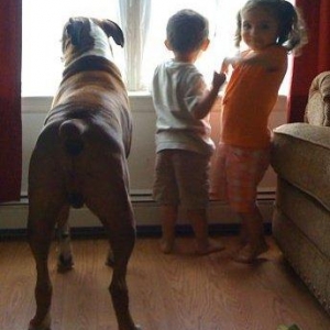 kids_waiting_for_daddy