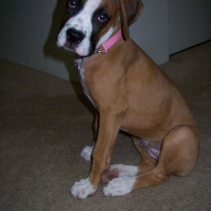 My Kairi