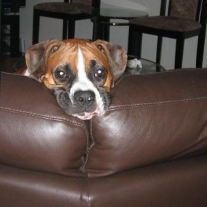Hi!