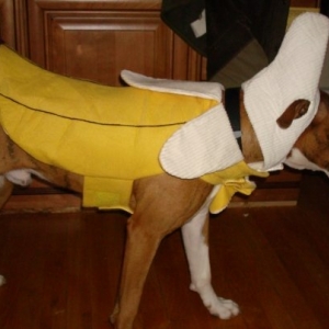 Banana