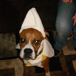 Banana Head