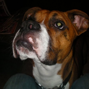 Sniffy face!
