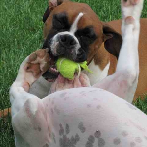 that_s_my_ball