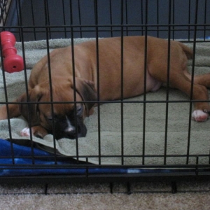 jethro3