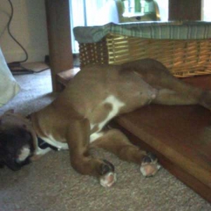 jethro6