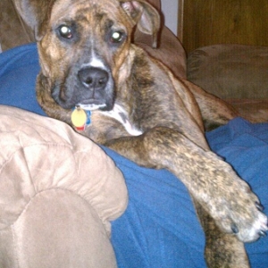 rockychillin3