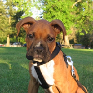 Halen @ 13 weeks