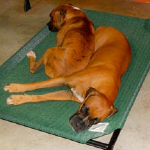 Heidi's Family