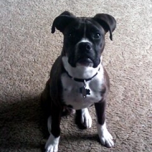 Diesel