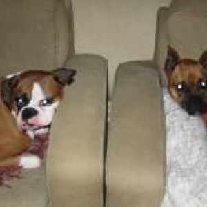 Luke & Sofie