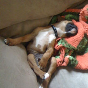 Halen @ 13 Weeks