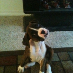 Delbert