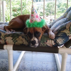 bday5