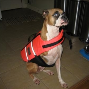 Star in her new life jacket