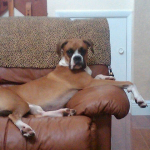 Your talking to me?