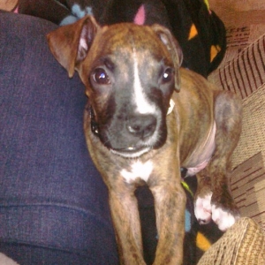 my bruno .