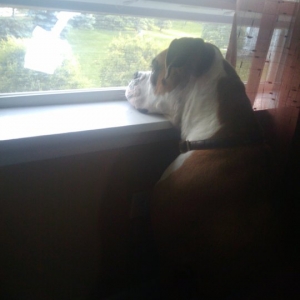 Evander_gazing_out_the_window