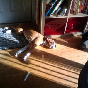 evander_in_the_sun