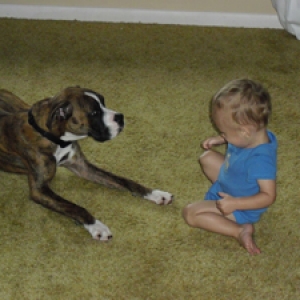 d_and_aiden_boxerworld