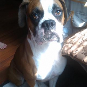Tyson