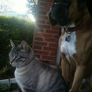 Mac & Kitty Friend