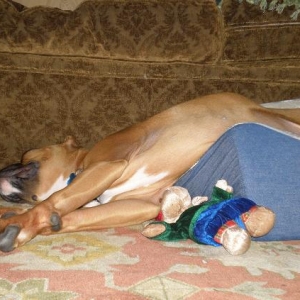 sleepy