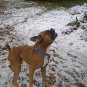 first snow