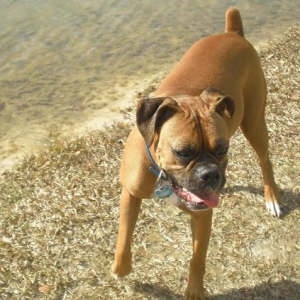 happy boy
