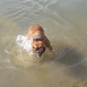 swimming