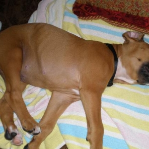 nap time